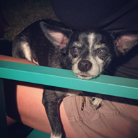 Toby Zukowski-Salvatore